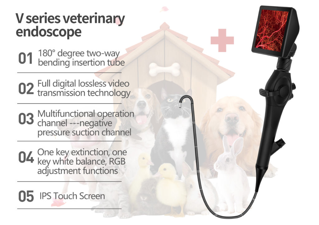 veterinary endoscope